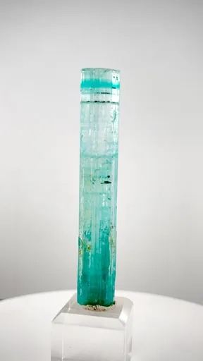 specimen video