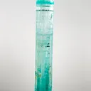specimen video