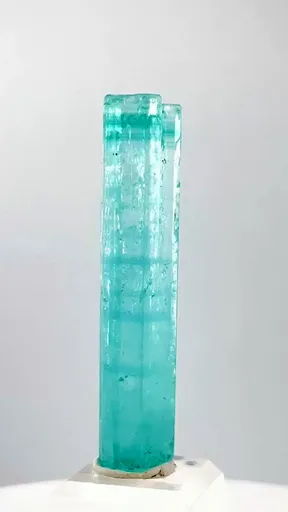 specimen video