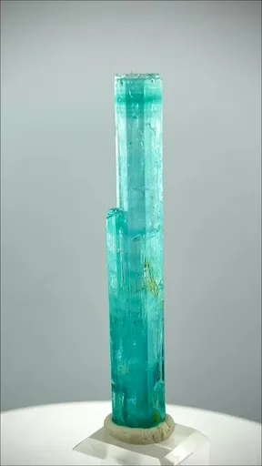 specimen video
