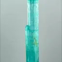 specimen video
