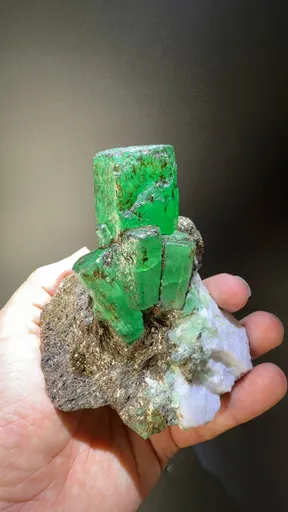 specimen video