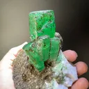 specimen video
