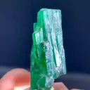 specimen video