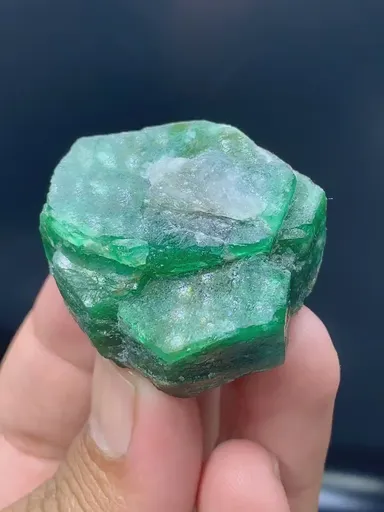 specimen video