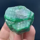 specimen video