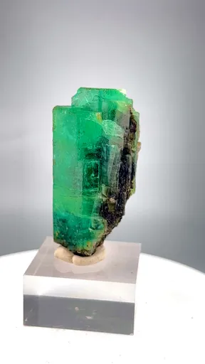 specimen video