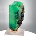 specimen video