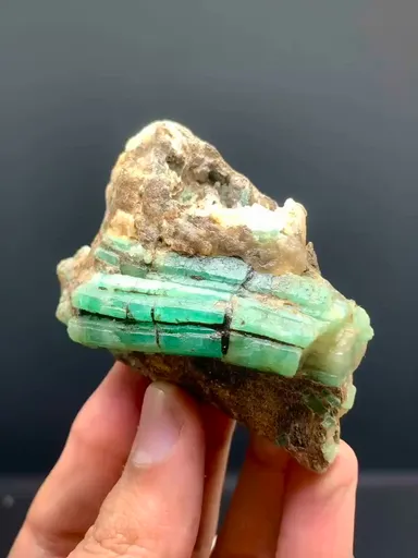 specimen video