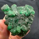 specimen video