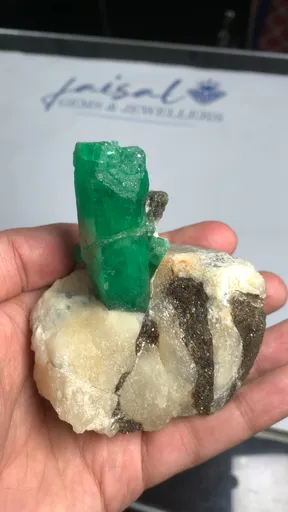 specimen video