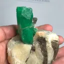 specimen video