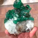 specimen video