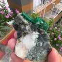 specimen video