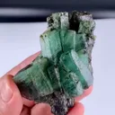 specimen video