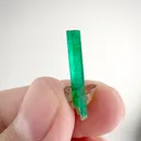 specimen video
