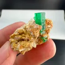 specimen video
