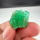 specimen video