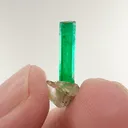specimen video