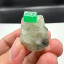 specimen video