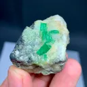 specimen video