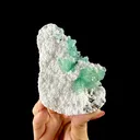 Emerald-Green Apophyllite on Chalcedony Matrix - Collector’s Indian Zeolite Specimen from Pune - image 3