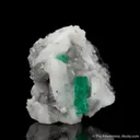 Emerald in Calcite - image 1