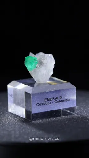specimen video