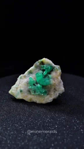 specimen video
