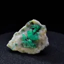 specimen video