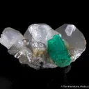 Emerald on Calcite (illustrated) - image 2