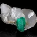 Emerald on Calcite (illustrated) - image 1