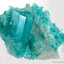 Emerald on Quartz - image 1