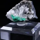 specimen video