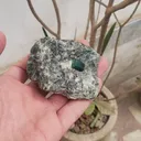 Emerald Specimen (186 Gram) - image 3