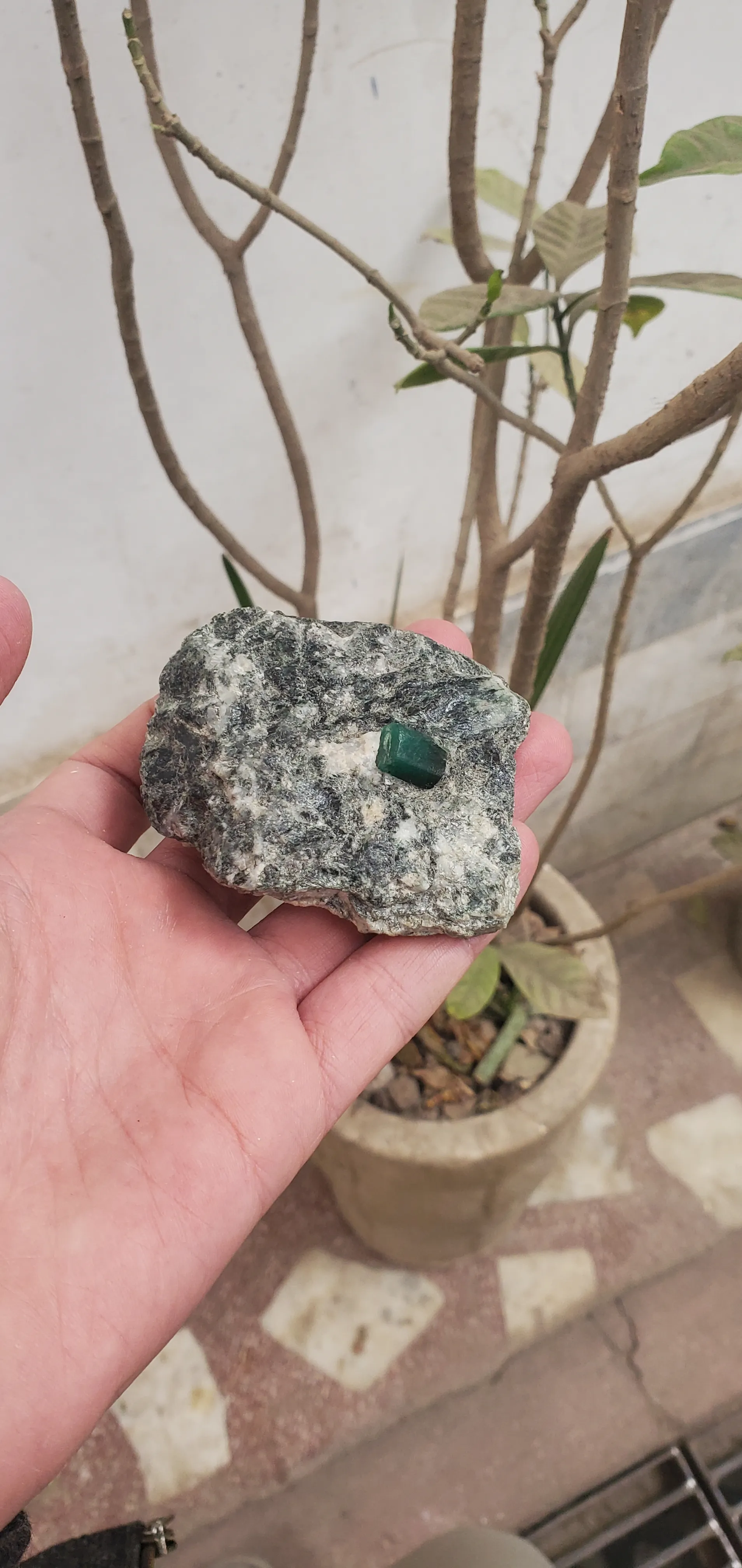 Emerald Specimen (186 Gram) - image 3