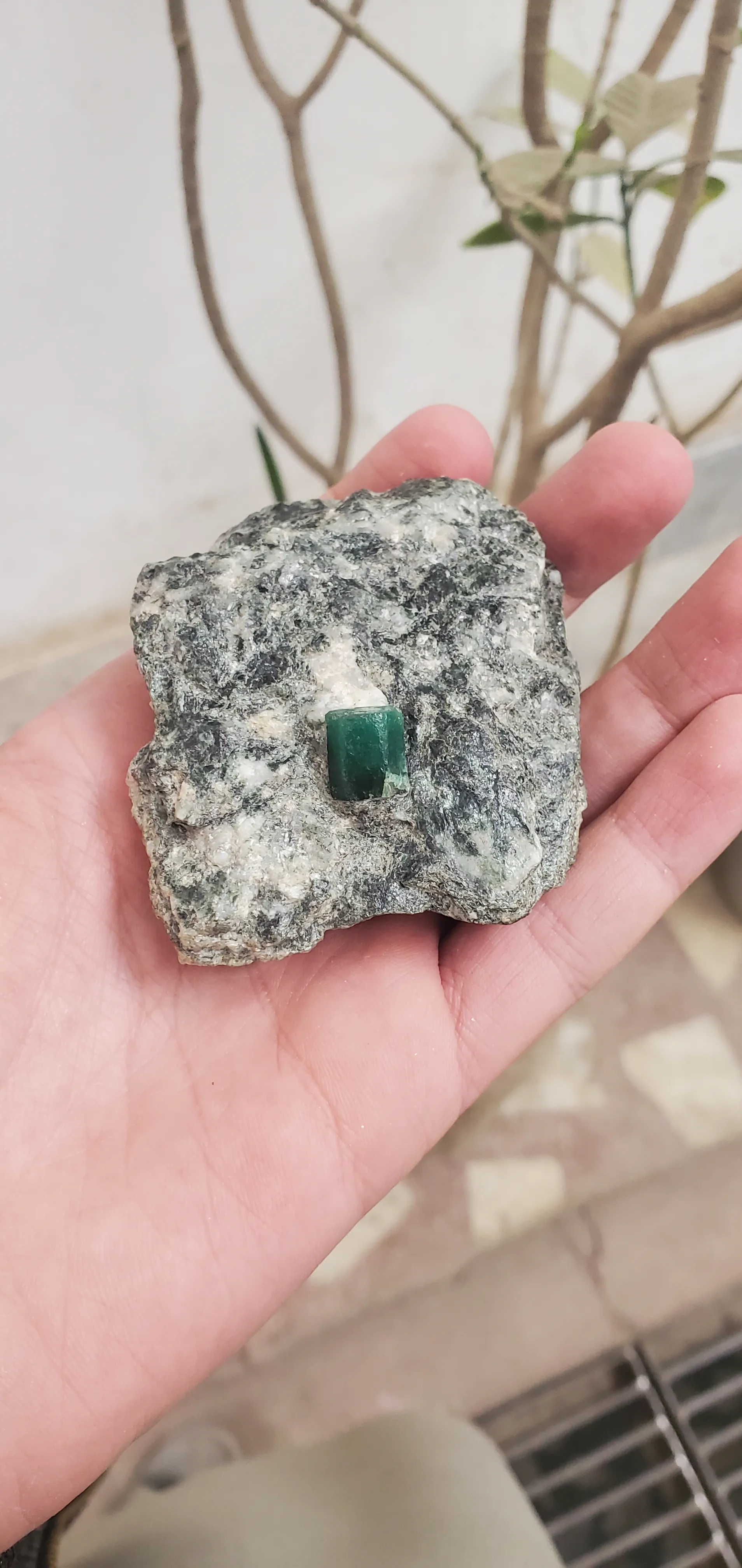 Emerald Specimen (186 Gram) - image 4