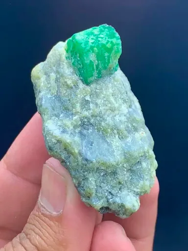 specimen video