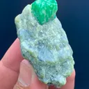 specimen video