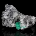 Emerald with Calcite (illustrated) - image 4
