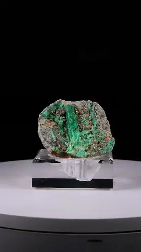 specimen video