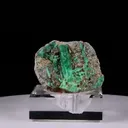 specimen video