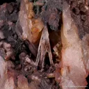 Emplectite - image 1