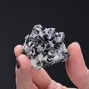 Enargite from Leonard Mine, Butte Mining District, Montana, USA - image 1