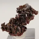 Endlichite (Arsenatian Vanadinite) - image 2