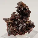 Endlichite (Arsenatian Vanadinite) - image 4