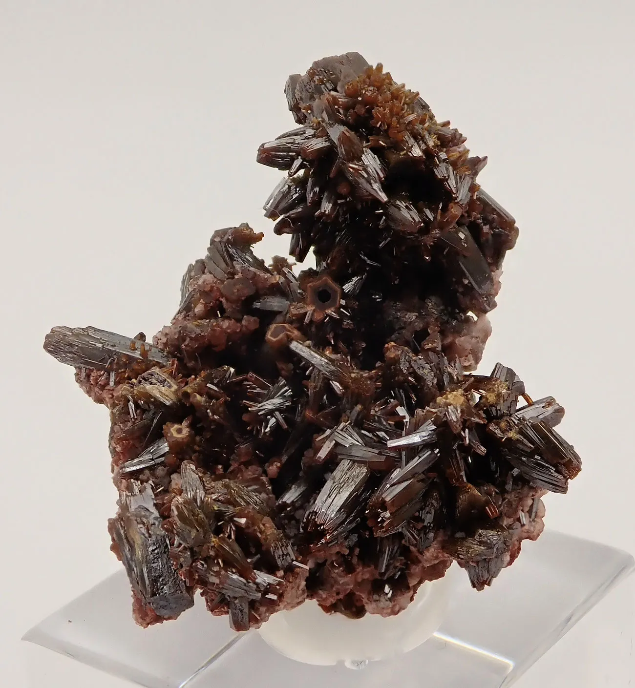 Endlichite (Arsenatian Vanadinite) - image 4