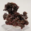 Endlichite (Arsenatian Vanadinite) - image 3