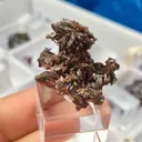 Endlichite (Arsenatian Vanadinite) - image 5