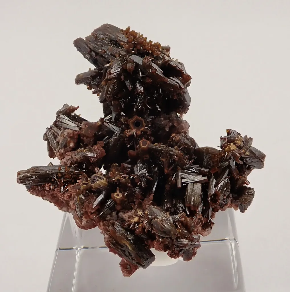 Endlichite (Arsenatian Vanadinite) image